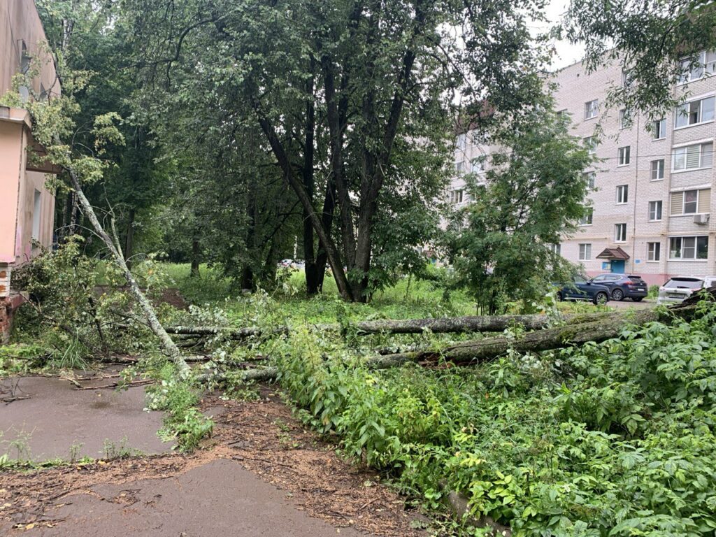 лежит дерево, лето, строение,день, обрыв 